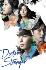 Drama Korea Doctor Stranger (2014)